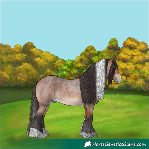 Horse Color:Bay Roan Splash Tobiano 