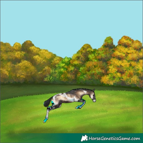 Horse Color:Brown Onyx Tobiano
