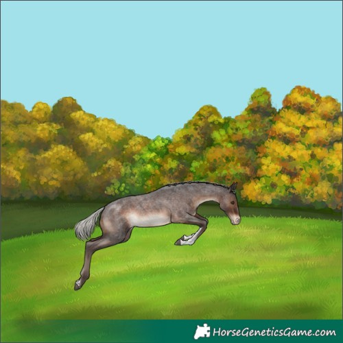 Horse Color:Silver Brown Roan Tobiano Varnish 
