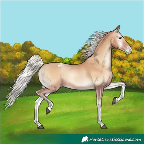 Horse Color:Silver Blue Onyx Pearl Tobiano