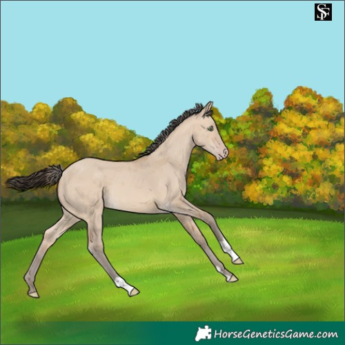 Horse Color:Amber Champagne Dun Merle