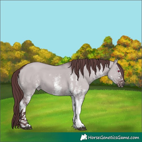 Horse Color:White Spotted Chocolate Grullo Chinchilla Tobiano