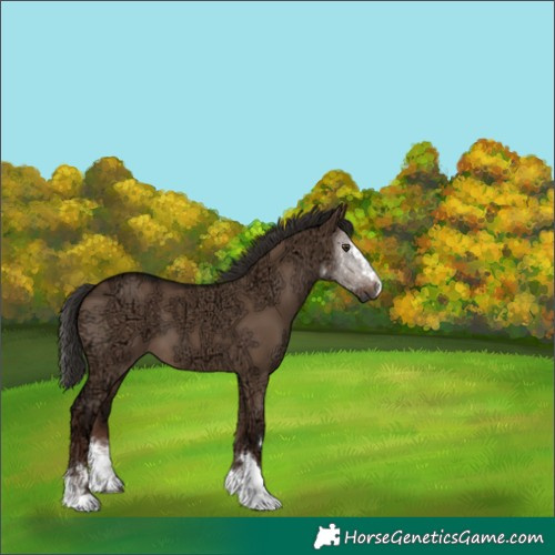 Horse Color:Liver Red Dun Ice