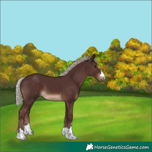 Horse Color:Chocolate Silver Brown 