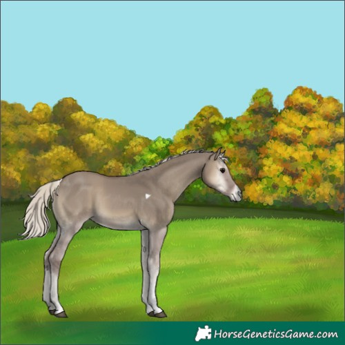 Horse Color:Silver Smoky Grullo Onyx Tobiano 