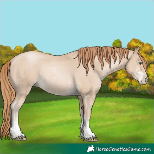 Horse Color:Smoky Black Pearl Sabino Rabicano