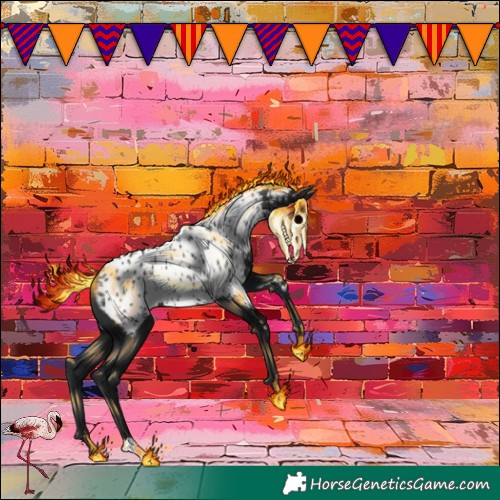 Horse Color:Black Near Leopard