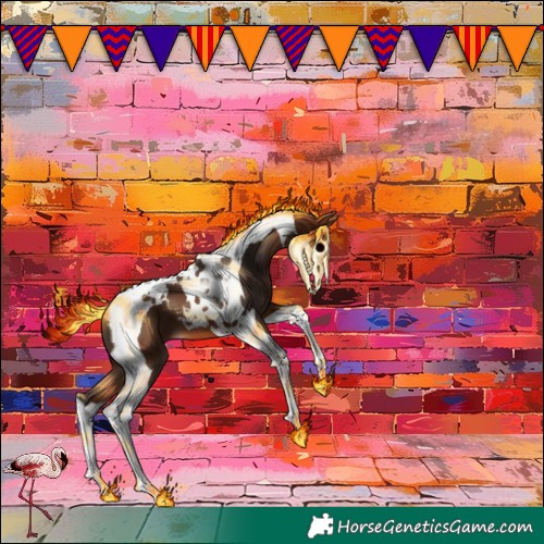 Horse Color:Bay Tobiano 