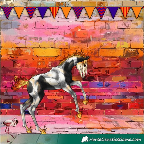 Horse Color:Black Tobiano