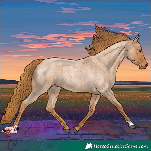 Horse Color:Red Roan
