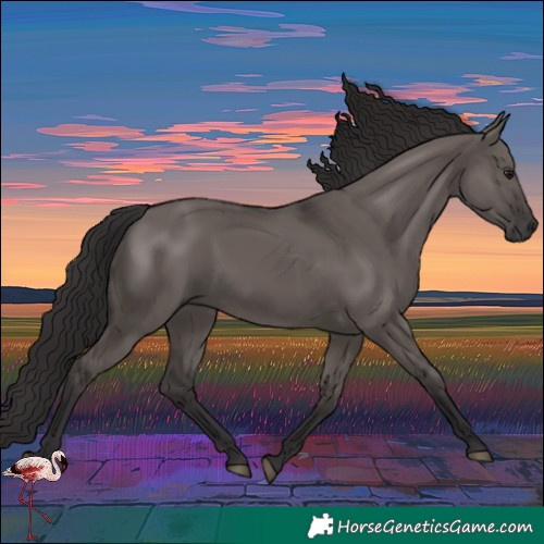 Horse Color:Smoky Grullo
