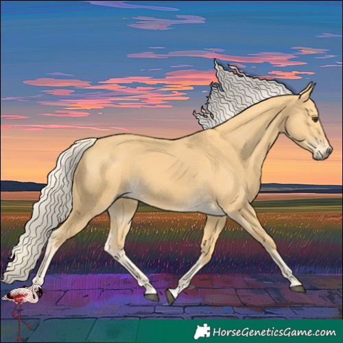 Horse Color:Palomino
