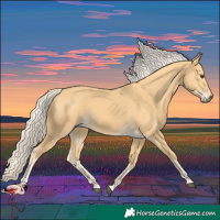 Horse Color:Palomino