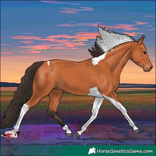 Horse Color:Bay Tobiano