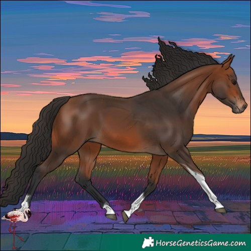 Horse Color:Bay Tobiano