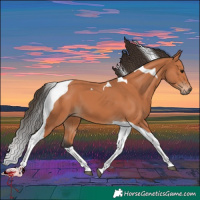 Horse Color:Bay Tobiano