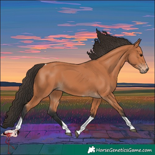 Horse Color:Bay Tobiano 