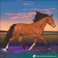 Horse Color:Bay Tobiano