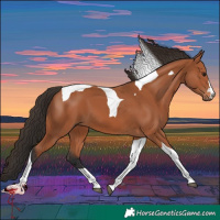 Horse Color:Bay Tobiano 