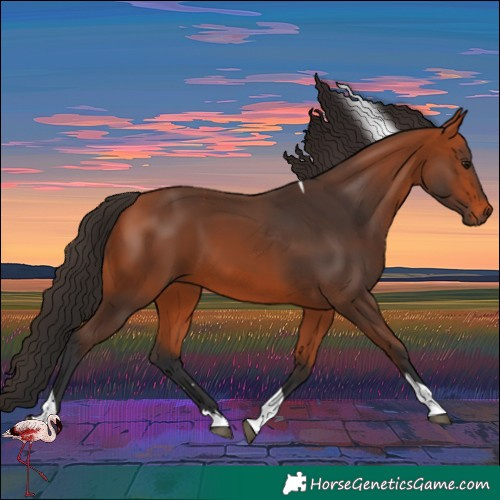 Horse Color:Bay Tobiano