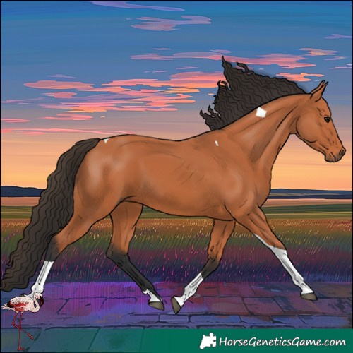 Horse Color:Bay Tobiano 