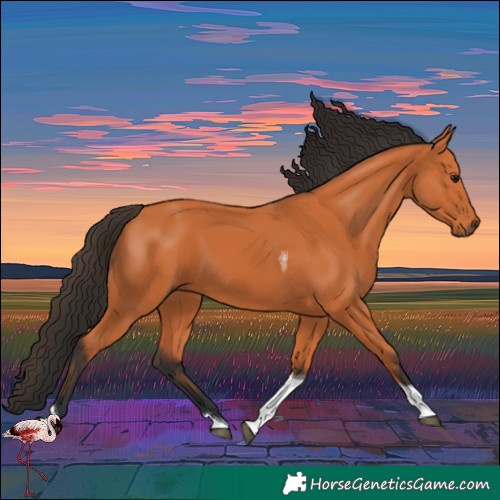 Horse Color:Bay Tobiano