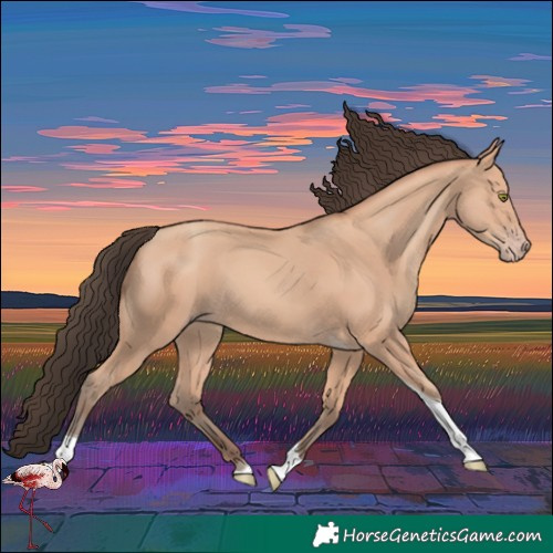 Horse Color:Amber Champagne Tobiano