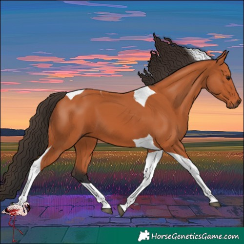 Horse Color:Bay Tobiano 