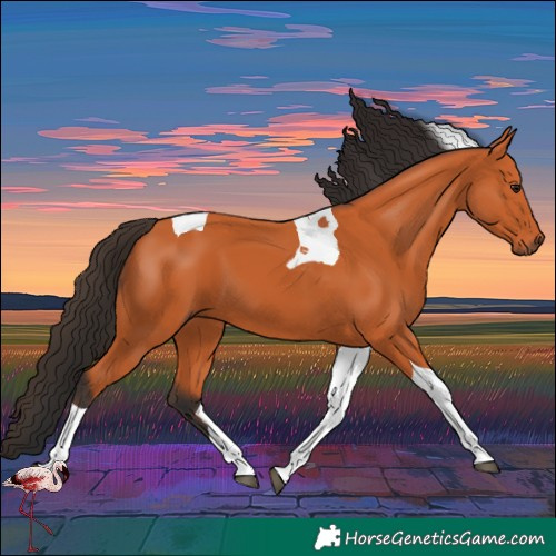 Horse Color:Bay Tobiano