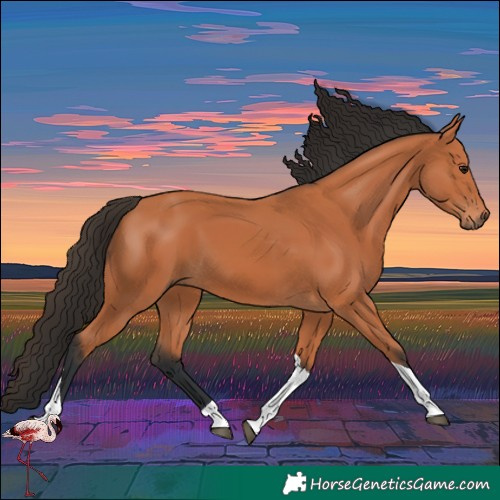 Horse Color:Bay Tobiano 