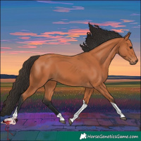 Horse Color:Bay Tobiano