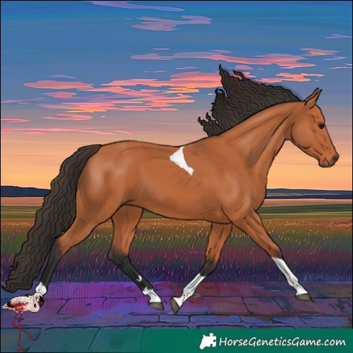 Horse Color:Bay Tobiano