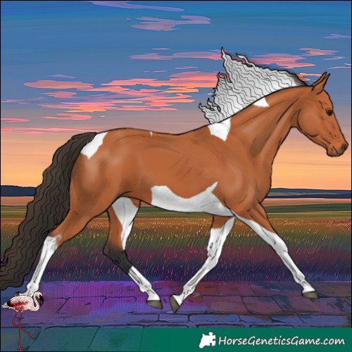 Horse Color:Bay Tobiano