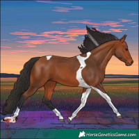 Horse Color:Bay Tobiano
