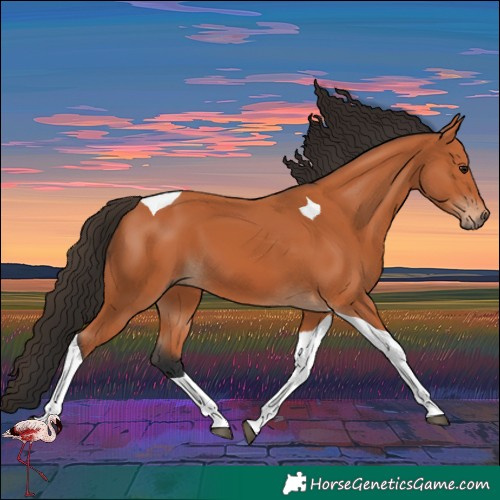 Horse Color:Bay Tobiano