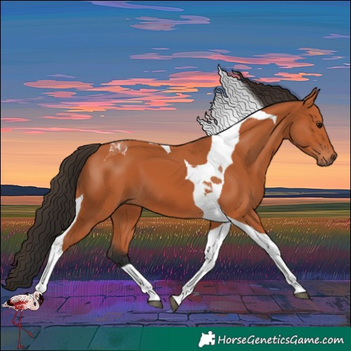 Horse Color:Bay Tobiano 