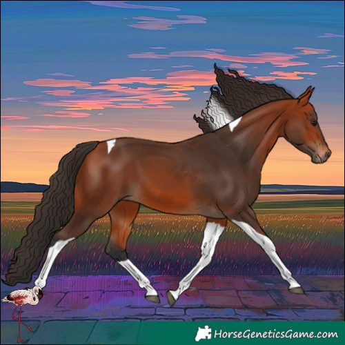 Horse Color:Bay Tobiano 