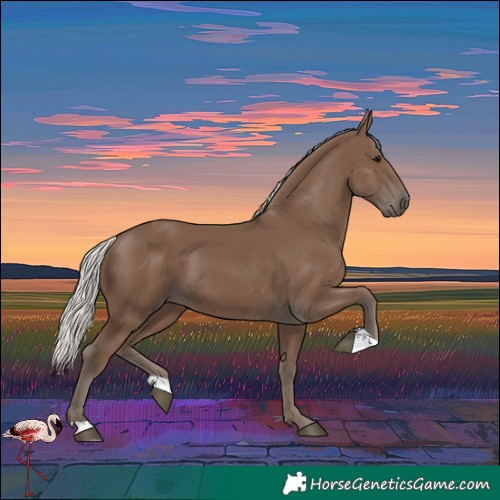 Horse Color:Silver Black