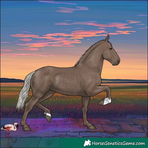 Horse Color:Silver Black