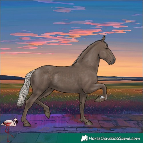 Horse Color:Silver Black