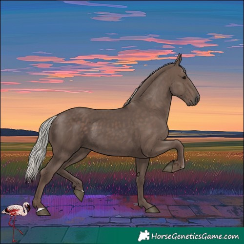 Horse Color:Silver Black