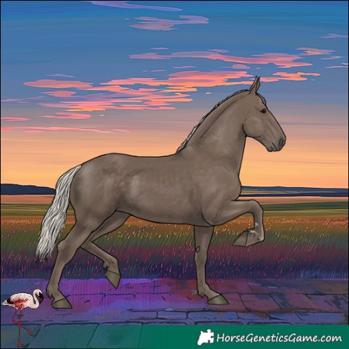Horse Color:Silver Black