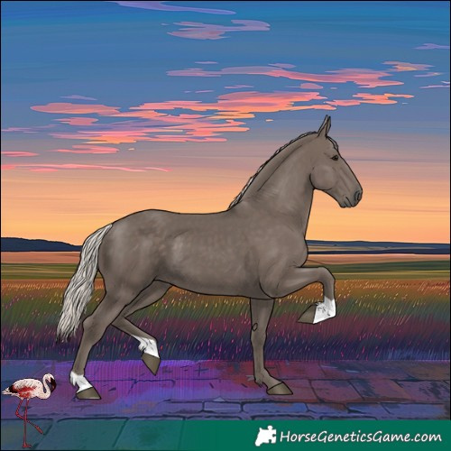 Horse Color:Silver Black 