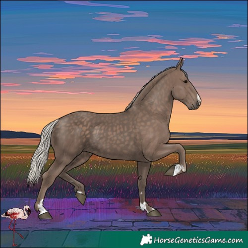 Horse Color:Silver Black