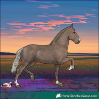 Horse Color:Silver Black