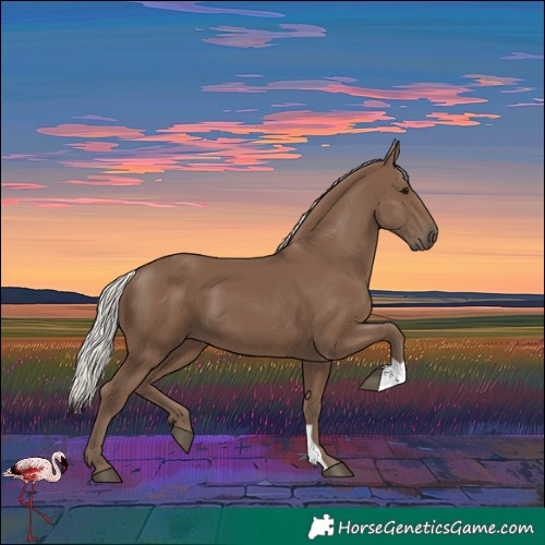 Horse Color:Silver Black
