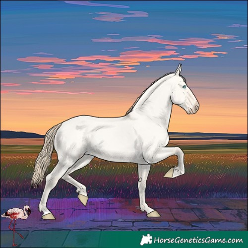 Horse Color:Perlino Roan Dun 
