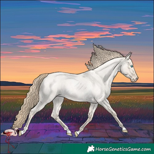 Horse Color:Smoky Creme Roan Dun