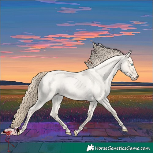 Horse Color:Perlino Roan Dun 
