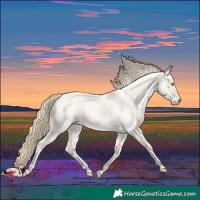 Horse Color:Perlino Roan Dun